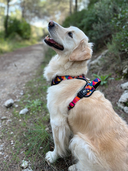 Harnais Goofy Goldens